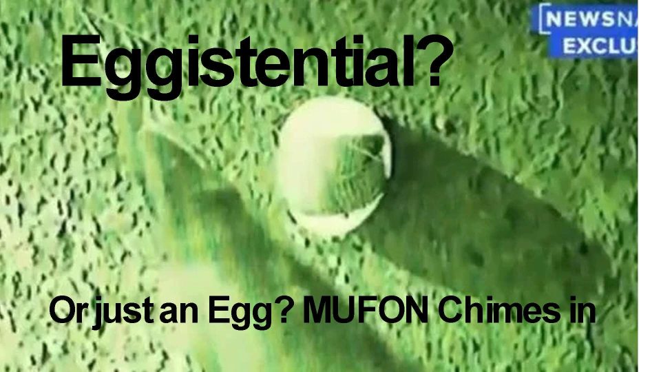 About the EGG.  MUFON Investigators and analysts chime in.